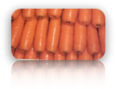 carrots_psq